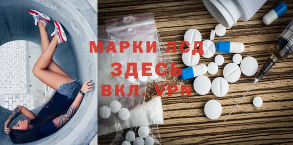 ГАЛЛЮЦИНОГЕННЫЕ ГРИБЫ Абаза