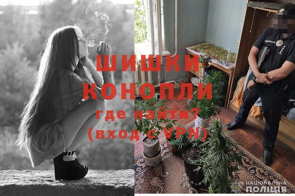 ГАЛЛЮЦИНОГЕННЫЕ ГРИБЫ Абаза
